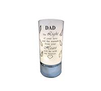 David Fischhoff Family Members Light Up Memorial Light Tube Sparkly Shimmering Indoor Decoration Dad