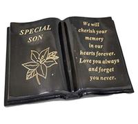 David Fischhoff Son black and gold lily book Measures: 19x13cm