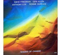 David Friedman - Shades of change (Vinyl-LP) [VINYL]