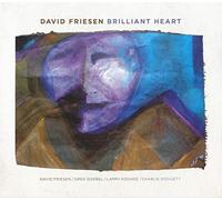 David Friesen - Brilliant Heart