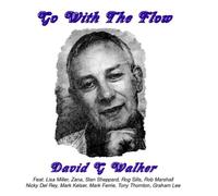 David G. Walker - Go With the Flow