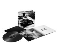 David Gilmour Luck and strange LP multicolor Onesize