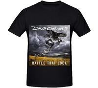David Gilmour Rattle That Lock Rock Mens Crew Neck Cool T Shirts Black XL