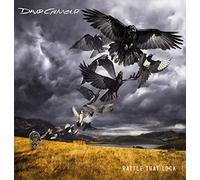 Rattle That Lock [VINYL]