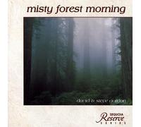 David Gordon - Misty Forest Morning