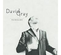 David Gray - Foundling