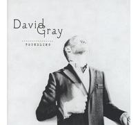 David Gray - Foundling
