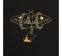 David Gray - Gold In A Brass Age