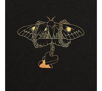 David Gray - Gold In A Brass Age - CD - 12 - B3447z