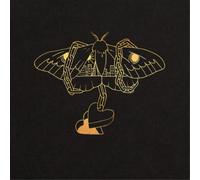 David Gray - Gold In A Brass Age