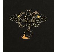 David Gray Gold In A Brass Age Double LP Vinyl NEW