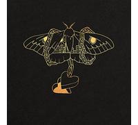 David Gray Gold In A Brass Age Double LP Vinyl NEW