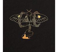 David Gray Gold In A Brass Age Double LP Vinyl NEW
