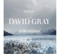 David Gray - Life in Slow Motion