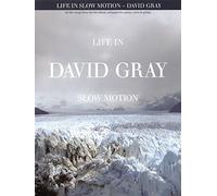 David Gray: Life In Slow Motion