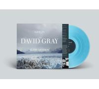 Gray, David - Life in Slow Motion -20th Anniversary Edition- (Col.Lp) [VINYL]