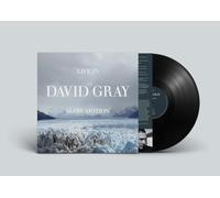 David Gray Life in Slow Motion (20th Anniversary Edition) (Vinyl) (US IMPORT)
