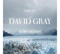 David Gray - Life In Slow Motion