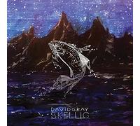 David Gray Skellig Double LP Vinyl NEW