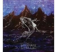 David Gray – Skellig – CD – The Orchard