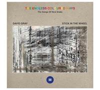 DAVID GRAY / STICK I - ENDLESS COLOURED WAYS THE SONGS OF NICK D - N - Z3447z
