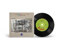 David Gray - The Endless Coloured Ways: The Songs of Nick Drake - David Gray [Ne