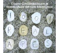 David Greenberger & Birdsongs - 1001 Real Apes