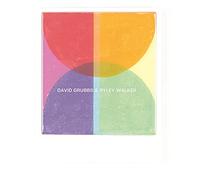 David Grubbs - A Tap On The Shoulder [VINYL]