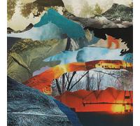 Grubbs, David - Whistle From Above [VINYL]