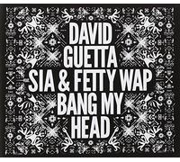 David Guetta Feat Sia & Fetty Wap - Bang My Head
