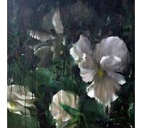 David-Guillou,Angele - Kourouma [VINYL]