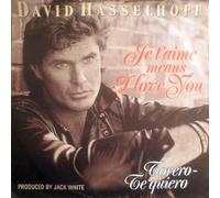 David Hasselhoff - Je T'Aime Means I Love You