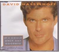 David Hasslehoff - If only I could say goodbye