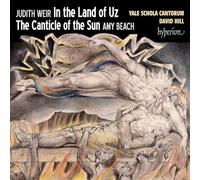 David Hill Yale Sc - Weir In the Land of Uz Beach The Canticle o - S99z