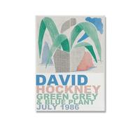 David Hockney Exhibition Print Canvas Mid Century Modern Poster Minimal Abstract Plants Wall Pictures Bed Room Home Decor(A,50x70cm No Frame)