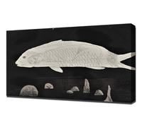 David Hockney The boy hidden in a fish The Little Sea Hare 1969 - Canvas Wall Art - Canvas Print On A Wooden Frame - Perfect Picture For Wall Decoration