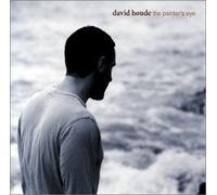 David Houde - The Painter's Eye (US Import)