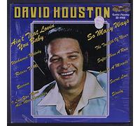 david houston (GUSTO 990 LP)