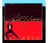 David Hudson - Walkabout