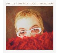 David J - Embrace Your Dysfunction