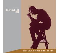 David J - Tracks From The Attic - CD - 84 - C4z