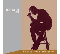 David J - Tracks From The Attic [VINYL]