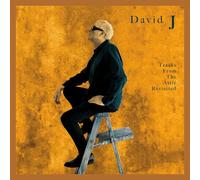 Tracks From the Attic Revisited (DVD) David J (US IMPORT)
