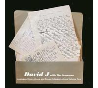 David J With Tim Newman-Analogue Excavations & Dream Interpretations V