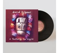 David Kilgour - A Feather In The Engine [VINYL]