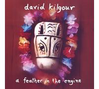 David Kilgour - A Feather In The Engine [VINYL]