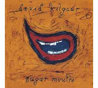 David Kilgour And The Heavy Eights - Sugar Mouth [VINYL]