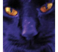 David Kilgour - Bobbie'S A Girl