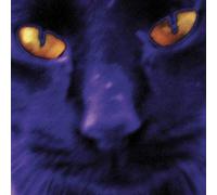 David Kilgour & The Heavy Eights - Bobbie's Girl (NZ Exclusive Violet Vinyl)