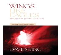 David King Wings Like Eagles: Reflections on Life in the Lord Vol. 4: David King Multicolor